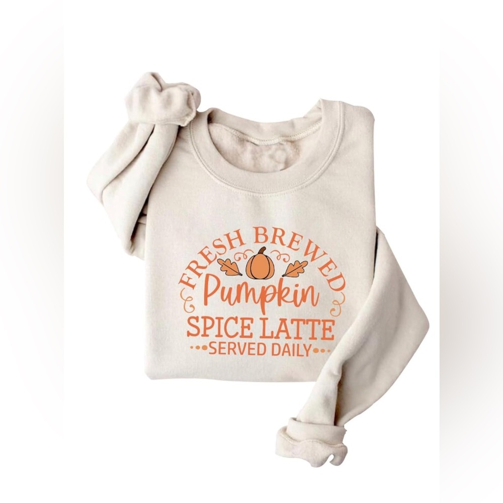 🌸NEW DIOMMELL Pumpkin 🎃 Spice Sweatshirt Fall Pumpkin Women’s Sz L Without Tags.